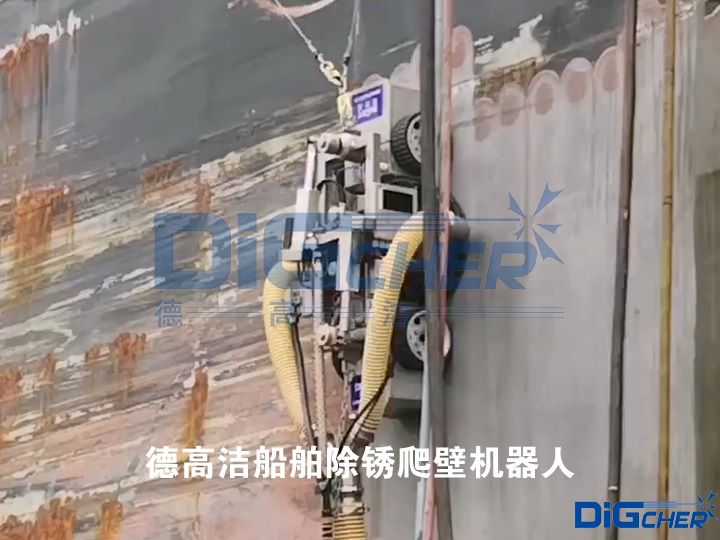 �¸ߝ��������P���ڙC(j��)����